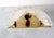 Wall Light in Murano Glass For Sale - Image 5 of 6