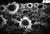 Not Yet Made - Made To Order Paul Cooklin, Sunflowers, Couziers, France, Edition of 50 For Sale - Image 5 of 5
