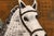 Contemporary Large Horse Oil Painting. Equestrian Painting 200 X 180 Cm For Sale - Image 9 of 12