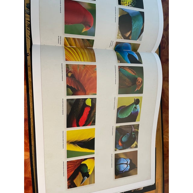 Paper Birds of Paradise Coffee Book Superb Illustrations For Sale - Image 7 of 8