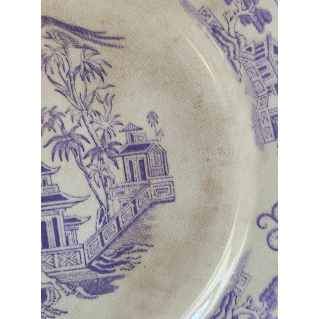 Cream Victorian Staffordshire Lavender Transferware Plate with Chusan Pattern from Clementson Brothers For Sale - Image 8 of 12