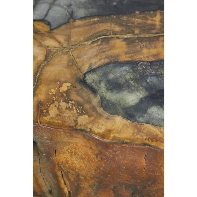 Fossilized Wood Coffee Table, 1970s For Sale - Image 13 of 18