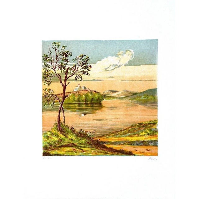 Hand Signed. Artist's Proof, very good conditions.