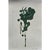 Set of 6 - One-of-a-Kind Dark Green Botanical Organic Modern Original Oil Paintings / Herbarium / Floral / Earth Tones For Sale - Image 4 of 11