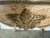 Wood Antique Continental Giltwood Coffee Table With Original Foxed Mirror For Sale - Image 7 of 15