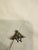 Antique Art Deco Sterling Silver Moving Monkey Brooch by Knoll & Pregizer, 1890s For Sale - Image 3 of 7