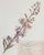 1950s Custom Framed Vintage Finnish Herbarium Botanical Specimens, Set of Four For Sale - Image 5 of 16