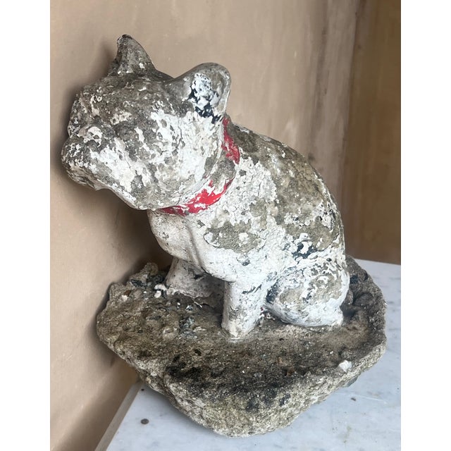 Antique Weathered French Bull Dog Concrete Dog Statue, C. 1940's For Sale - Image 9 of 15
