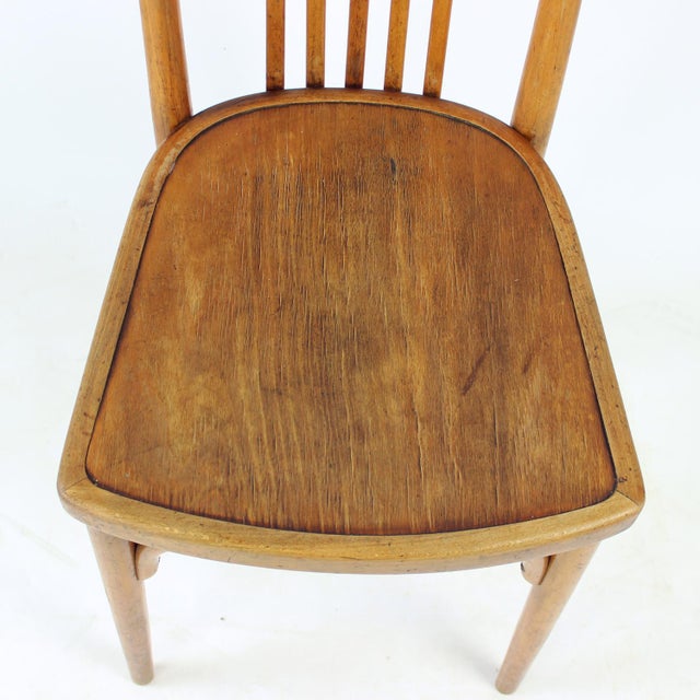 Vintage Oak Bentwood Chair by Michael Thonet for Thonet, Former Czechoslovakia, 1920s For Sale - Image 3 of 16