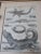 A fine set of Antique Prints depicting Reptiles. The Prints are both dated in pencil "1769" or something similar and have...