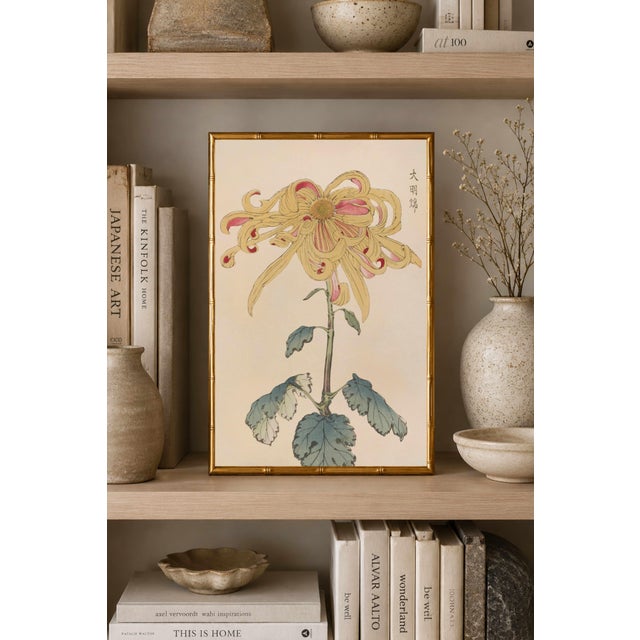 Paper Golden Spider Chrysanthemum by Hasegawa, Vintage Japanese Botanical Art Print, 8" X 12" For Sale - Image 7 of 8