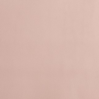 Schumacher Vegan Leather Indoor/Outdoor Fabric In Petal For Sale