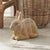 Early 21st Century Weathered Garden Rabbit Large For Sale - Image 5 of 7