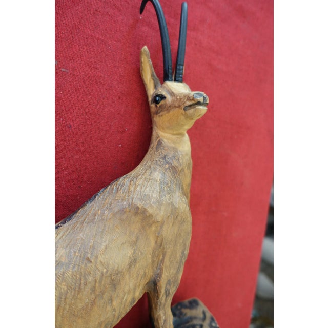 Black Forest German Chamois Ibex For Sale - Image 3 of 4