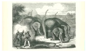 Paul Gervais, The Elephant Hunting, Original Lithograph, 1854