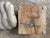 Wood Alabaster Sculpture of the Rattle of a Rattlesnake For Sale - Image 7 of 7