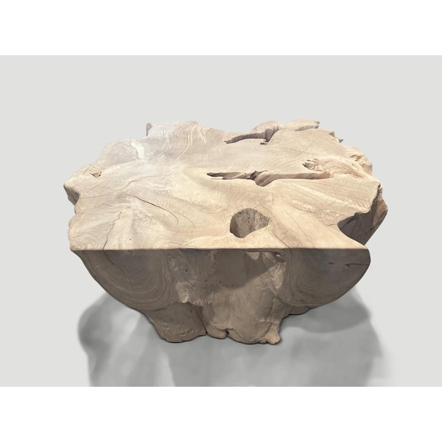 2010s Andrianna Shamaris Bleached Teak Wood Sculptural Coffee Table or Pedestal For Sale - Image 5 of 18