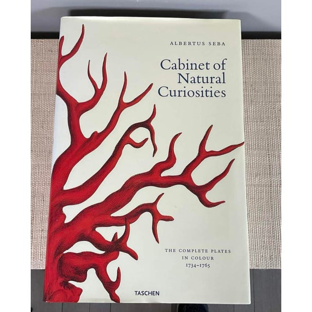 TASCHEN Vintage Albertus Seba “Cabinet of Natural Curiosities” Coffee Table Book by Taschen For Sale - Image 4 of 9