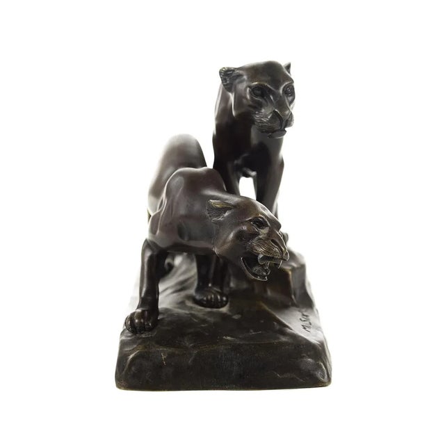 Michael Six Original Mountain Lions Bronze Sculpture For Sale - Image 4 of 9