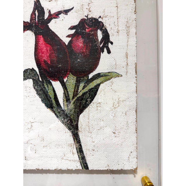2020s Vintage Rose Hip - Hand Textured Red Rose Hip Art For Sale - Image 5 of 7