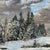 Wood 1937 Winter Landscape, Oil on Canvas -- Framed For Sale - Image 7 of 11