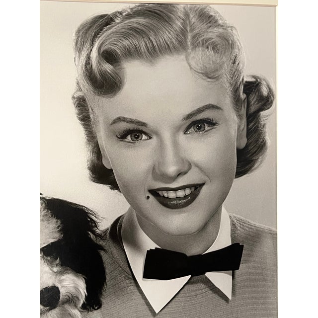 1950s Vintage Hollywood Glamour Photograph Portrait of Connie Francis by Virgil Apger For Sale - Image 5 of 9