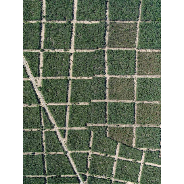 Bernhard Lang, AV_Forests_in_Formation_002, Aerial View, 2025, Print For Sale - Image 7 of 7