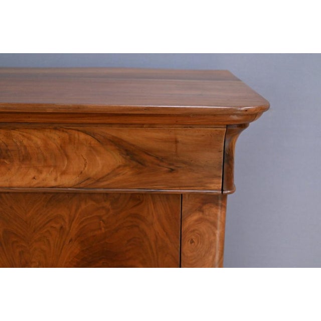 Brown Restoration Chest of Drawers in Burr Walnut, 19th Century For Sale - Image 8 of 17