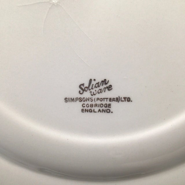 English Vintage Solian Ware Simpson's Potters Ltd Cobridge England Schnauzer Dog Plate For Sale - Image 3 of 13