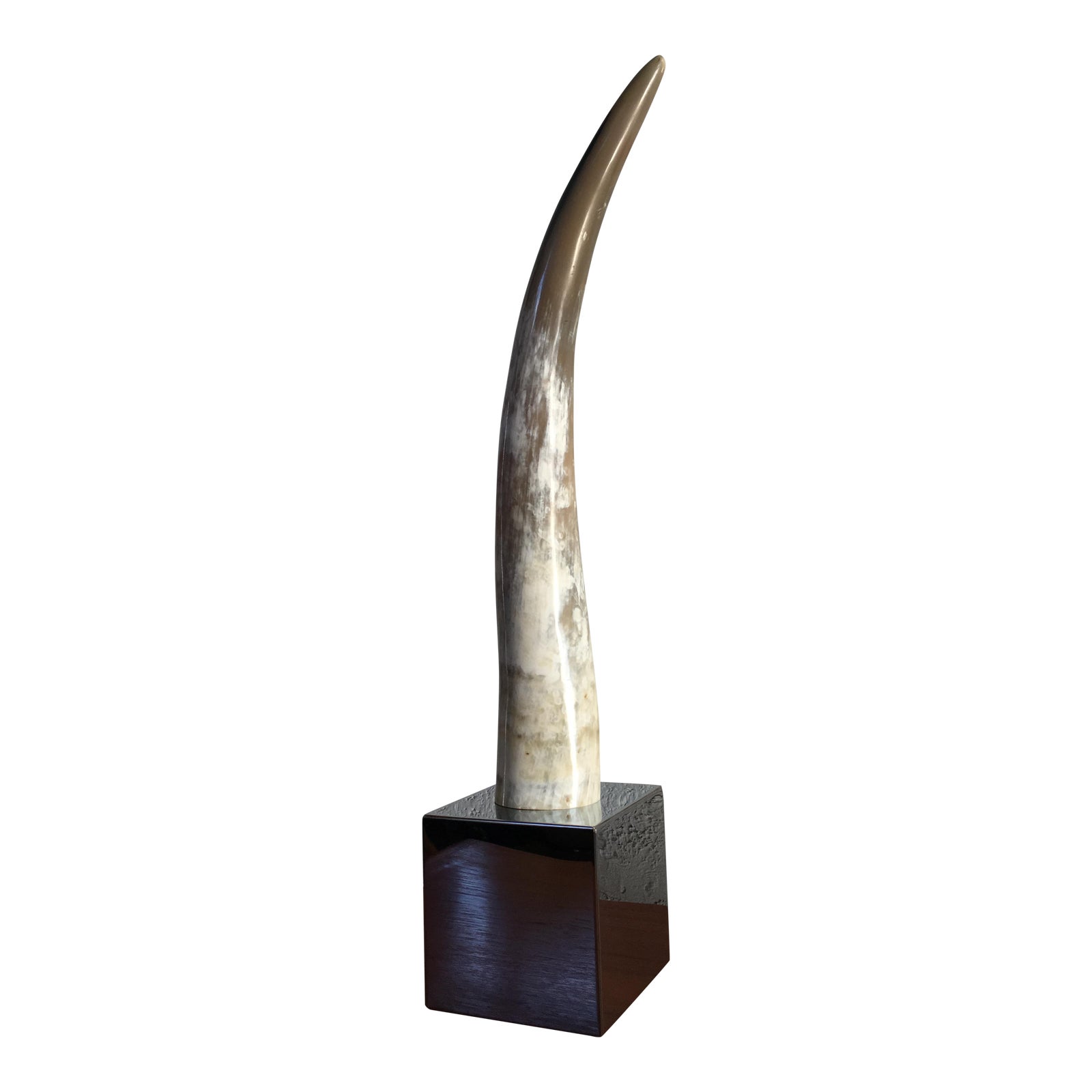 Vintage Cattle Horn Sculpture Chairish