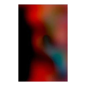 Contemporary Abstract Chromogenic Print Face-Mounted 3mm Matte Plexiglas Photography "Bleed # 202199" by Paul Snell