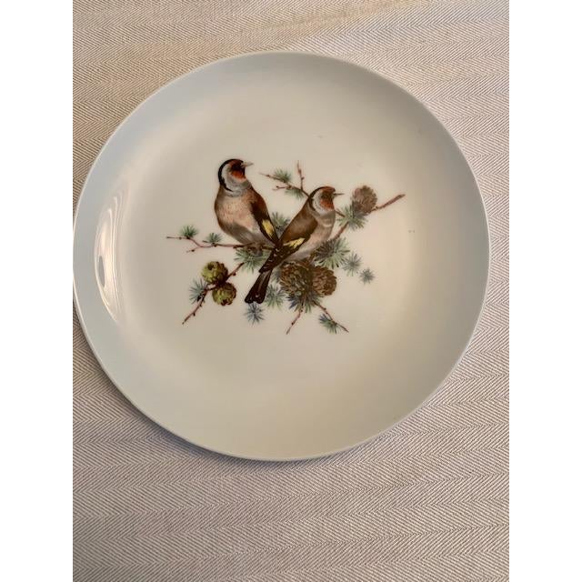 White Late 20th Century Mottahedeh Aviary Dessert/Salad Plates- Set of 6 For Sale - Image 8 of 9