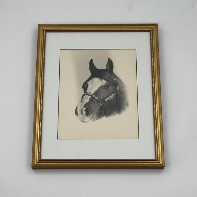 Paper Vintage Western Black and White Horse Portrait Photograph White Blaze For Sale - Image 7 of 9