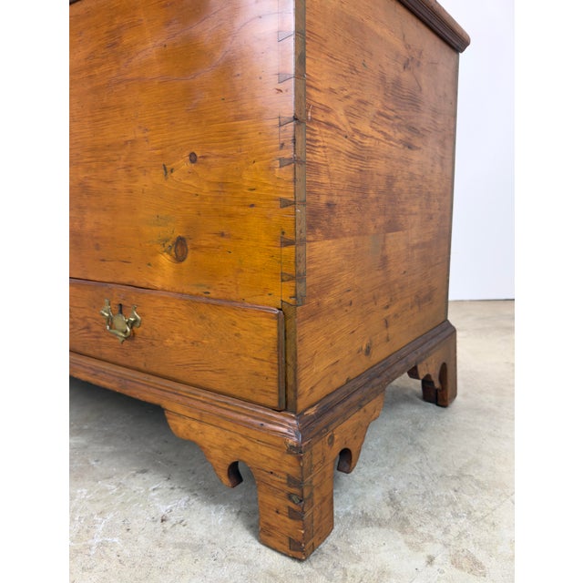Wood Late 18th Century American Queen Anne Style Pine Blanket Chest Pennsylvania For Sale - Image 7 of 12