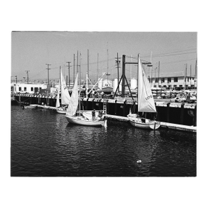1978 California Sailboat Photograph by Don Ware