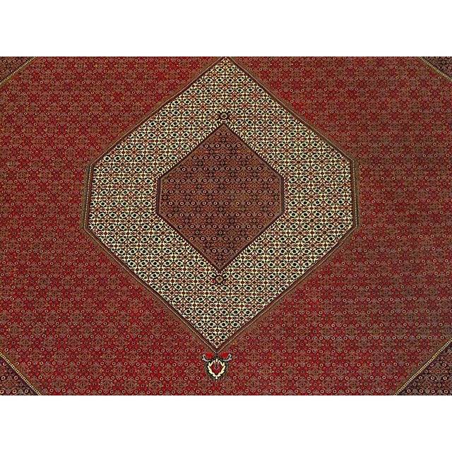 Bidjar Tekab Rug, 1990s For Sale - Image 16 of 18