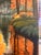Original oil painting by Steve Schaaf. This striking autumn landscape captures a peaceful forest stream illuminated by the...