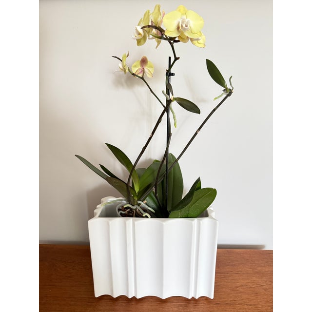 This large geometric vase will be a great accent piece in any room. Works well with both cut flowers and plants.