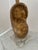 Coastal Gilt Seashell Form Table Lamp For Sale - Image 3 of 10