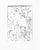 2020s "California Garden" Ink Drawing by Martha Holden For Sale - Image 5 of 5