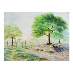 Vintage 1972 Landscape and Bluebonnets Painting