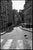 Paul Cooklin, Pigeon Crossing, Paris, Edition of 50 For Sale - Image 7 of 7