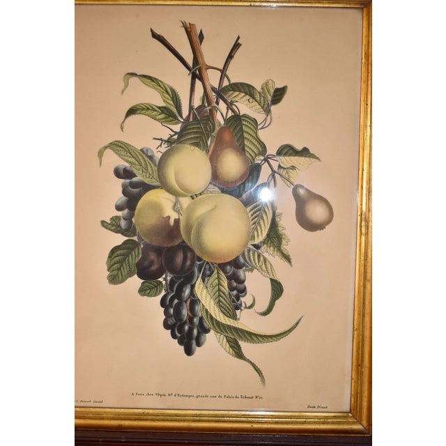 Wood 19th Century Louis Charles Ruotte Engraving For Sale - Image 7 of 8