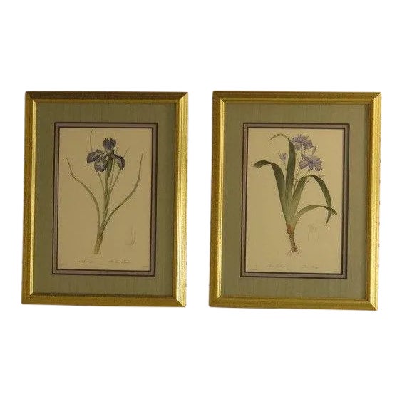 "Iris" Floral Decorative Framed & Matted Prints - a Pair For Sale