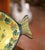 Orange Mid-20th Century French Hand-Painted Faience Fish Platter From Quimper For Sale - Image 8 of 10