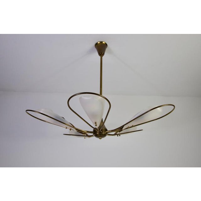 Mid-Century Italian Brass 5-Arm Sputnik Chandelier, 1950s For Sale - Image 4 of 18