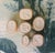 Metal Antique Italian Grand Tour Plaster Intaglios - Set of 6 (Group #6) For Sale - Image 7 of 14