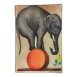 John Derian Tiny Decorative Tray For Sale