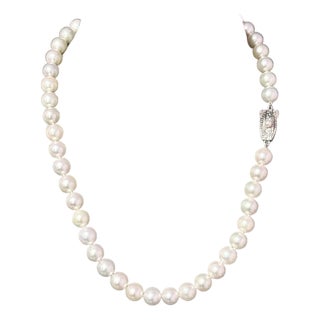 1990s Mikimoto Akoya Pearl Necklace 17" Sterling Silver 8 - 8.5 Mm Estate For Sale