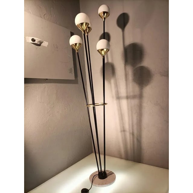 Iron, Brass & Marble Alberello Floor Lamp from Stilnovo For Sale - Image 13 of 18